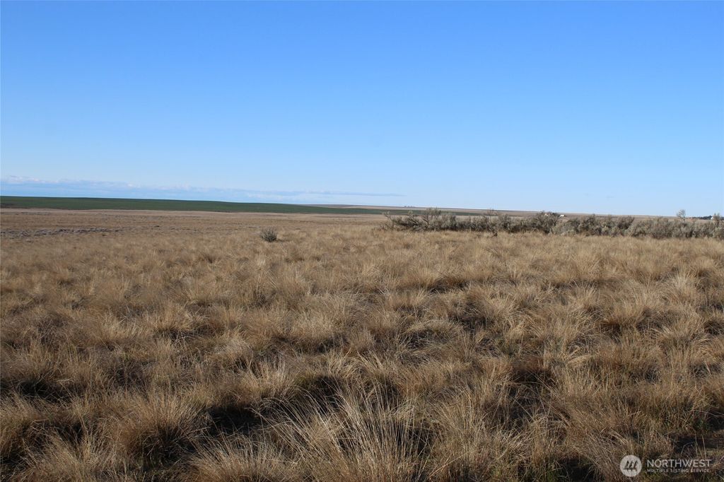 Photo of 0 Schafer and Dewalt Road, Ritzville, WA 99169 (MLS # 2492710)