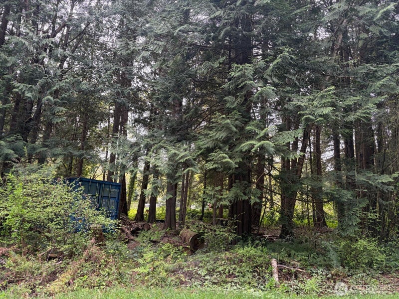 318 Madrona Place
