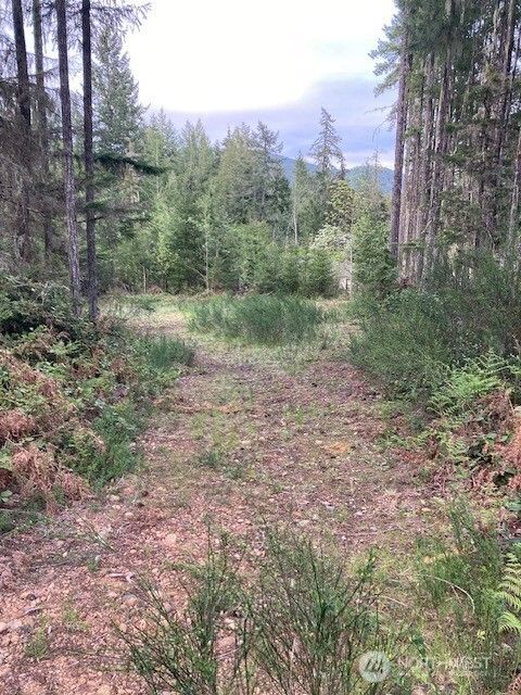 60 N Beaver Place N Hoodsport WA 98548
