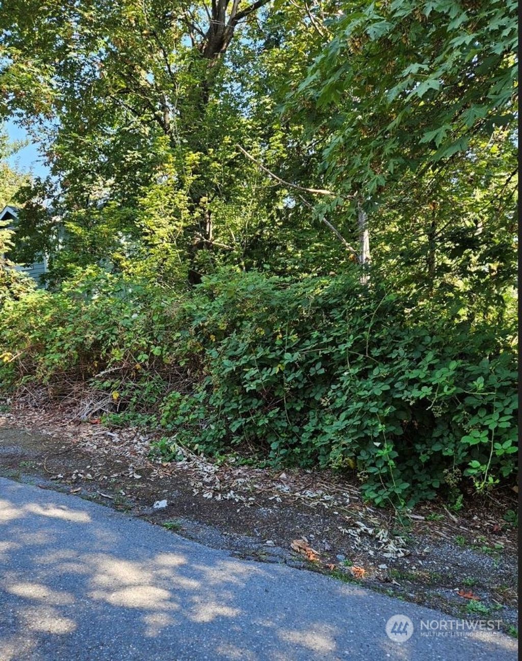 Photo of 26618 221st Place SE, Maple Valley, WA 98038 (MLS # 2287822)