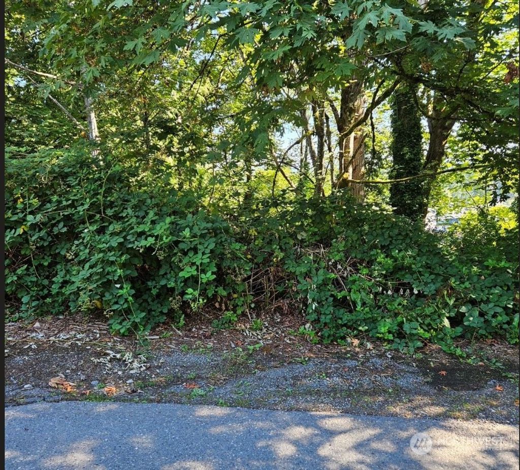 Photo of 26618 221st Place SE, Maple Valley, WA 98038 (MLS # 2287822)