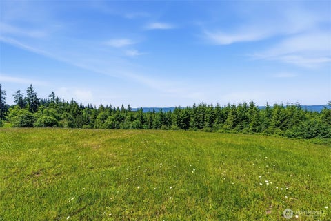 Photo of 852 Confer Road, Kalama, WA 98625 (MLS # 2533447)