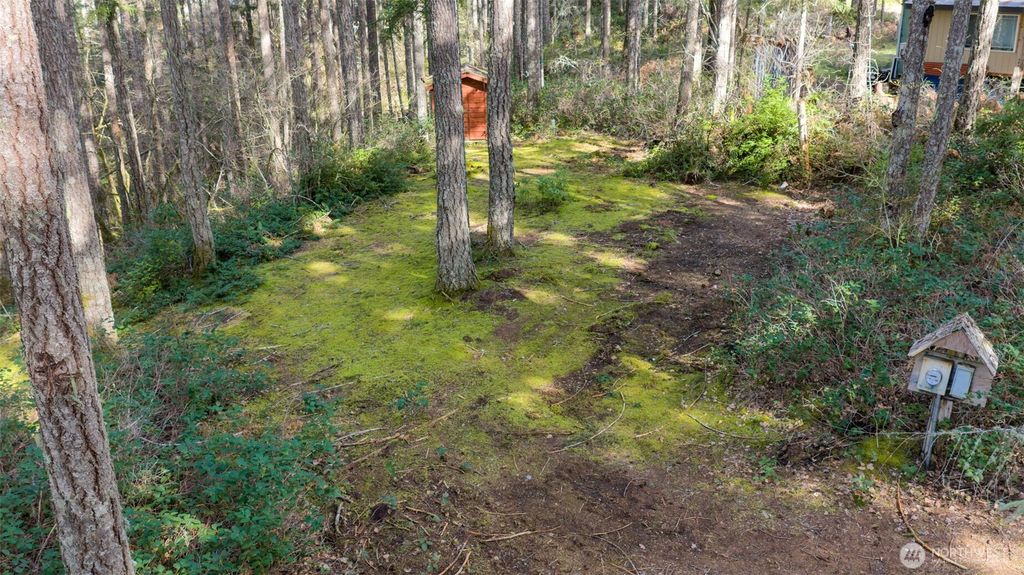 Photo of 240 N Dogleg Place, Hoodsport, WA 98548 (MLS # 2509409)