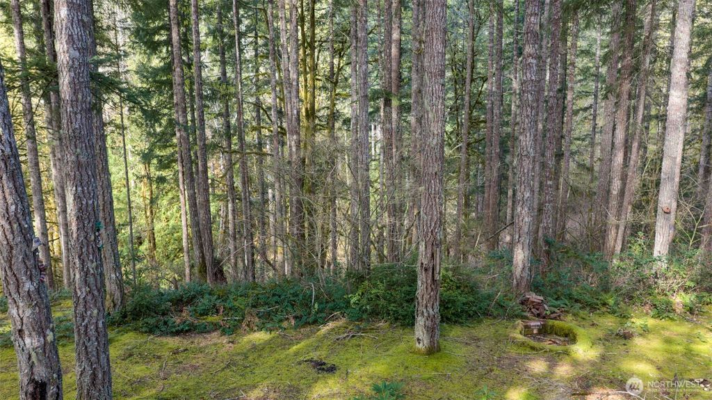 Photo of 240 N Dogleg Place, Hoodsport, WA 98548 (MLS # 2509409)