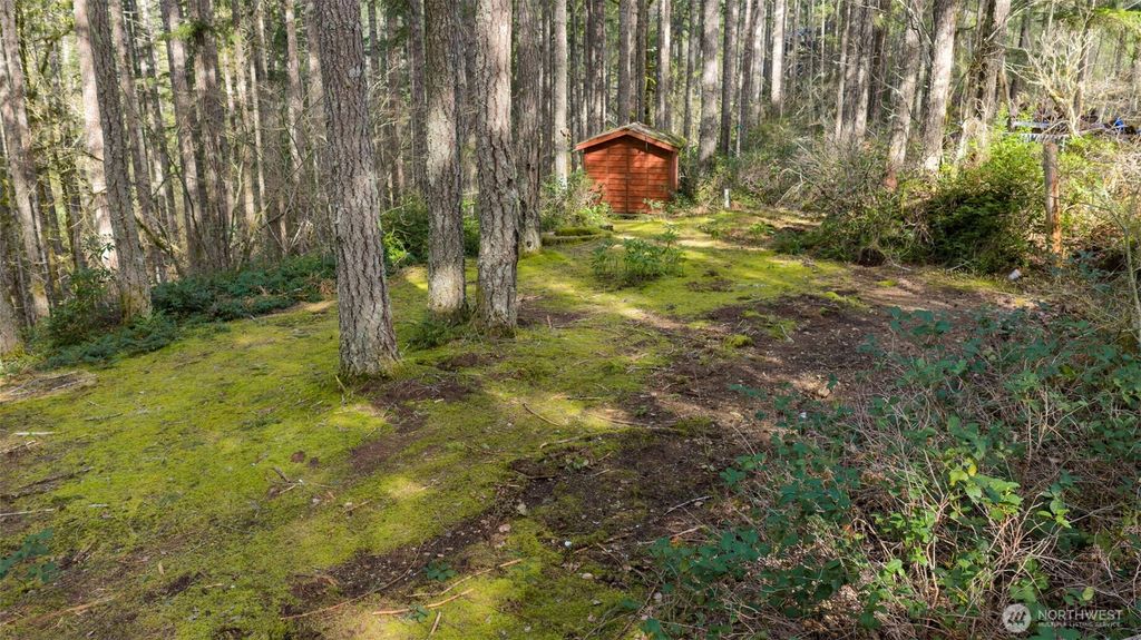 Photo of 240 N Dogleg Place, Hoodsport, WA 98548 (MLS # 2509409)