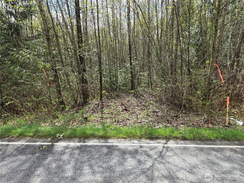 Photo of 30 xxx NE Big Rock Road, Duvall, WA 98019 (MLS # 2507323)