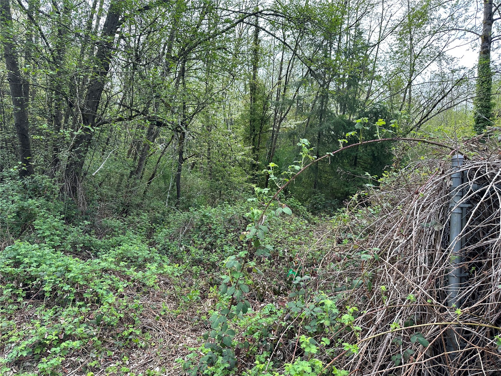 0 NW Anderson Hill Road