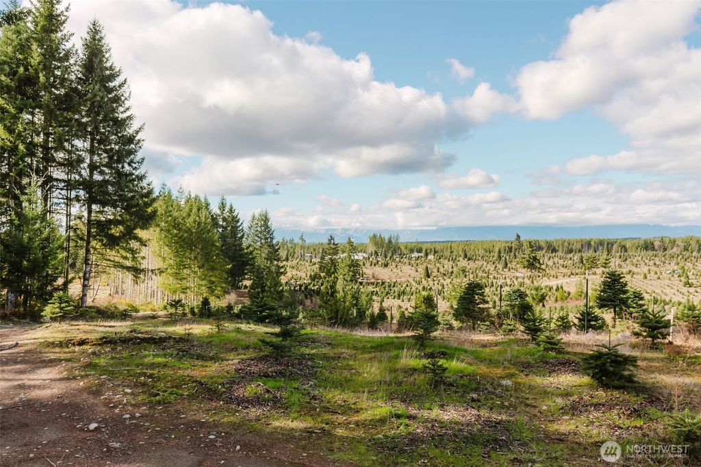 Photo of 8985 SW Lake Flora Road, Port Orchard, WA 98367 (MLS # 2484500)