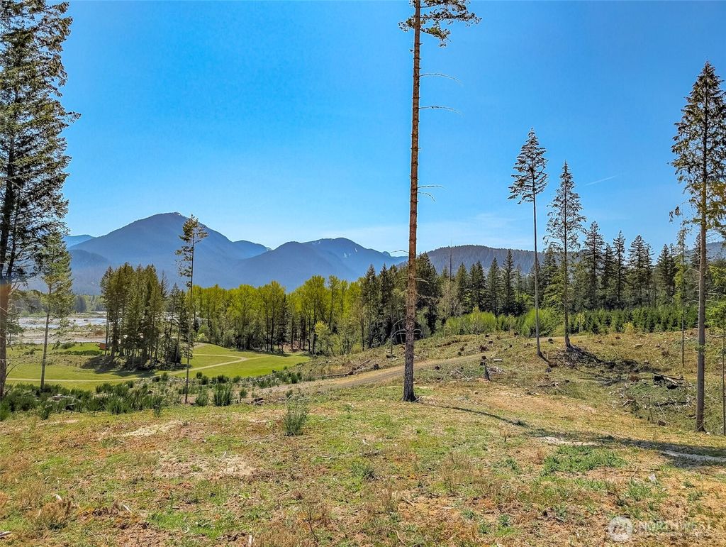 Photo of 0 Craig Rd #Lot A1, Packwood, WA 98361 (MLS # 2482395)