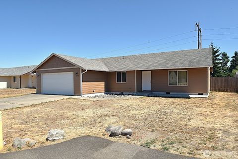 Photo of 19906 Tamarack Drive SW, Rochester, WA 98579 (MLS # 2420631)