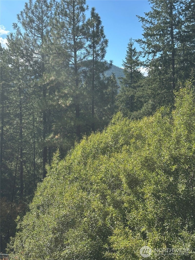 25819 Camp 12 Road