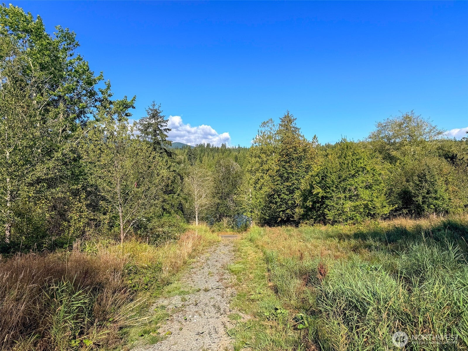 72 Leland Valley Road W