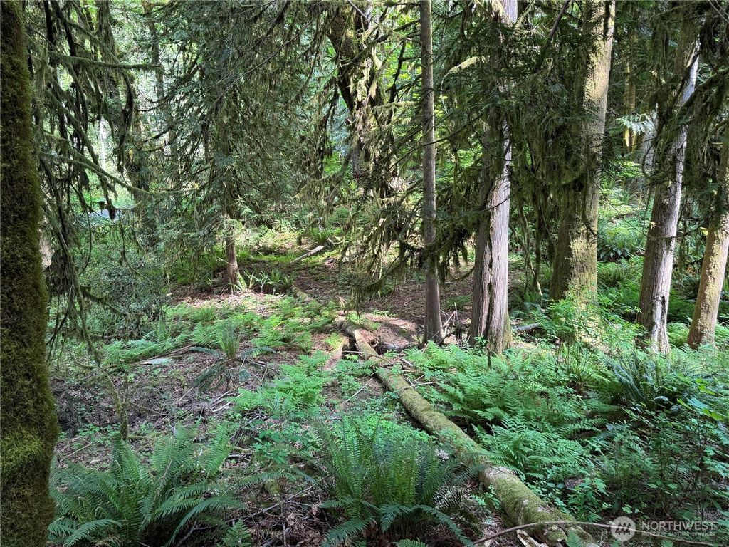 Photo of 1111 Mountain Trail Road, Brinnon, WA 98320 (MLS # 2521170)