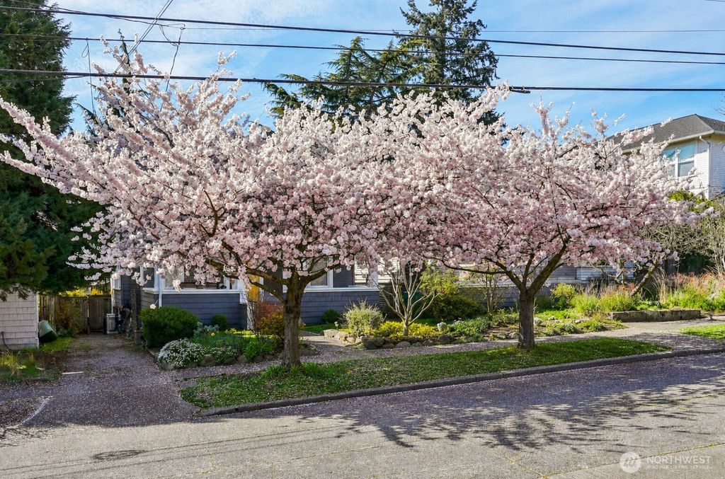 Photo of 4015 Ashworth Avenue N, Seattle, WA 98103 (MLS # 2517927)