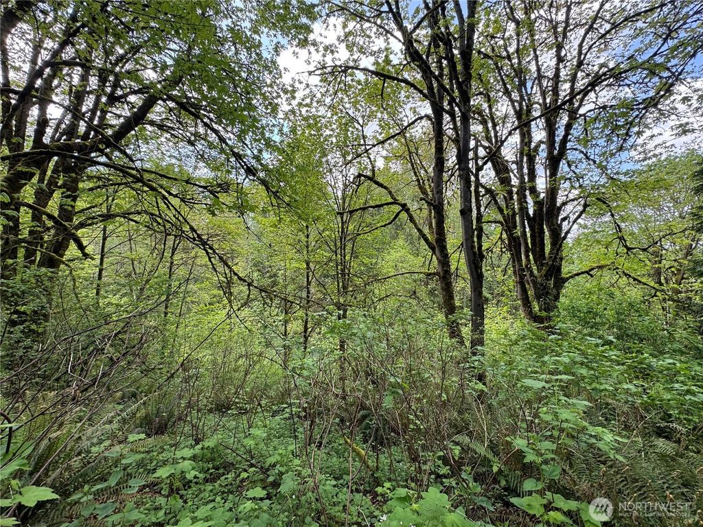 Photo of 16113 NE 124th Street, Redmond, WA 98052 (MLS # 2465571)