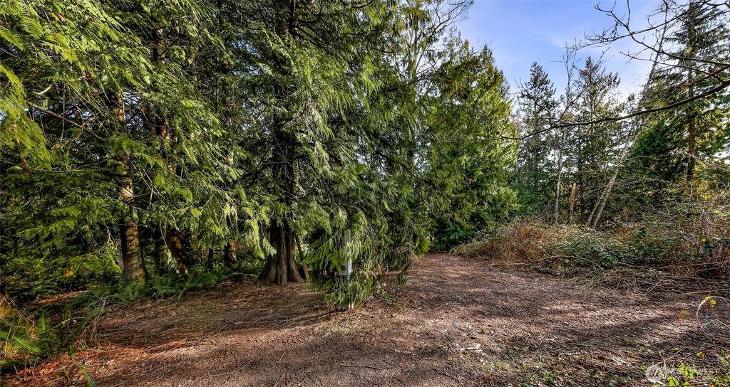 Photo of 6657 N Fruitdale Road, Sedro Woolley, WA 98284 (MLS # 2485862)
