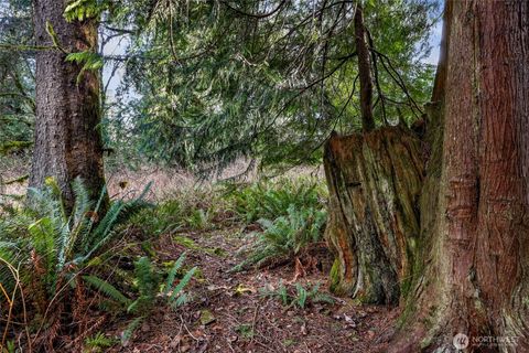 Photo of 6657 N Fruitdale Road, Sedro Woolley, WA 98284 (MLS # 2485862)