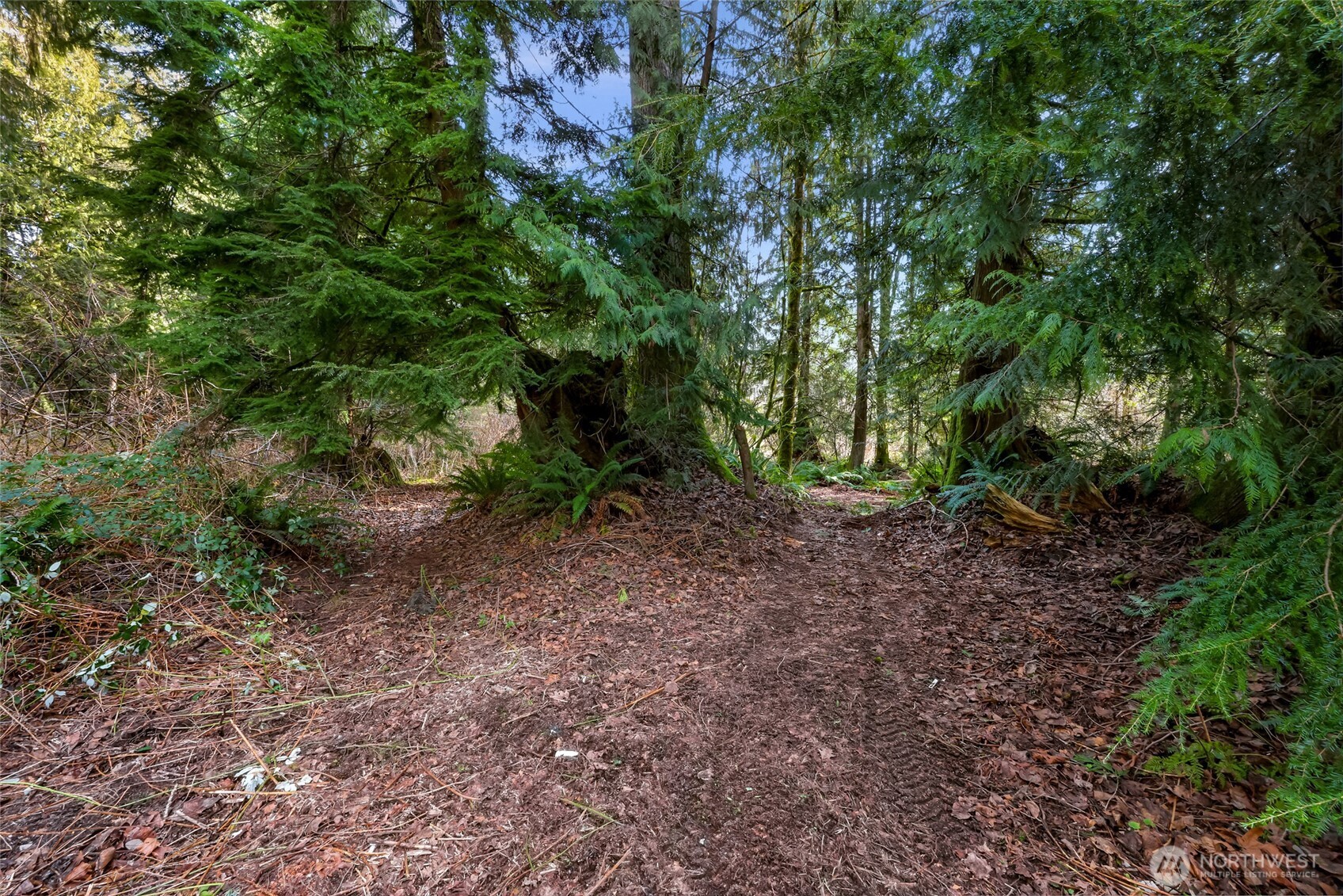 6657 N Fruitdale Road