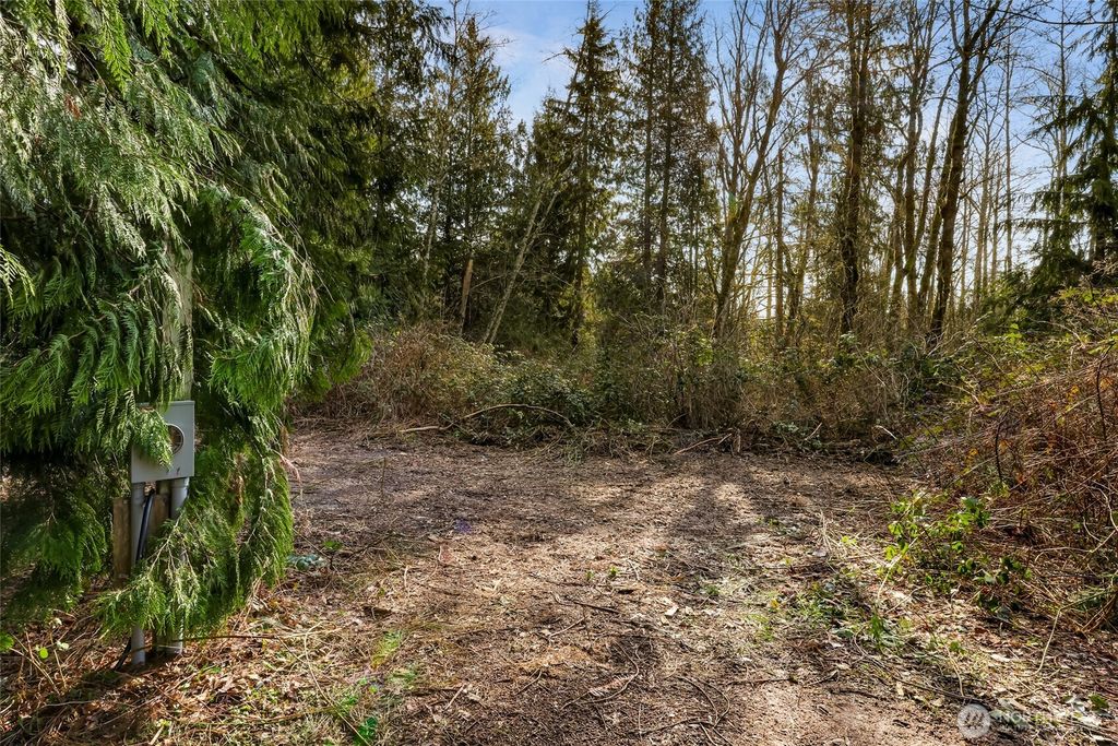 Photo of 6657 N Fruitdale Road, Sedro Woolley, WA 98284 (MLS # 2485862)