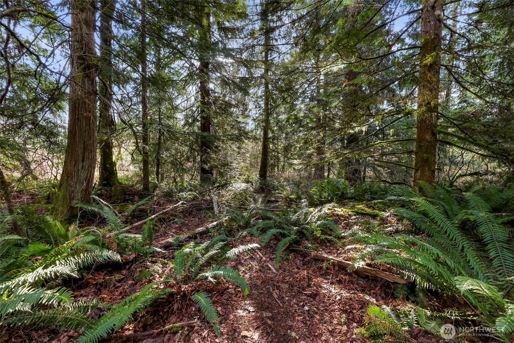 6657 N Fruitdale Road