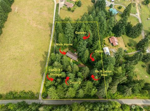 54611 278th Ave E Ashford WA 98304