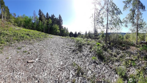 Photo of 101 NE WJ Way, Belfair, WA 98528 (MLS # 2521319)