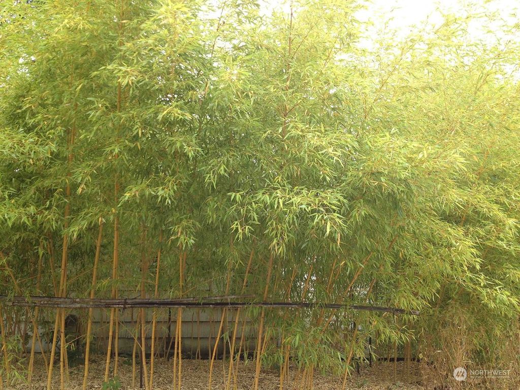 Photo of 7701 32nd Avenue NE, Seattle, WA 98115 (MLS # 2205990)