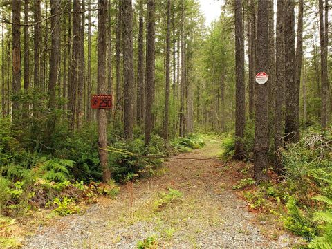 230 NE Hilltop Place Tahuya WA 98588