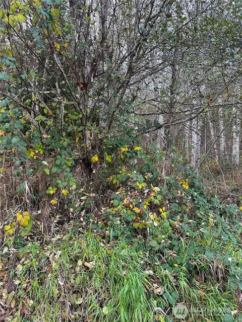 Photo of 7615 Sprucecrest Street SW, Olympia, WA 98512 (MLS # 2457625)