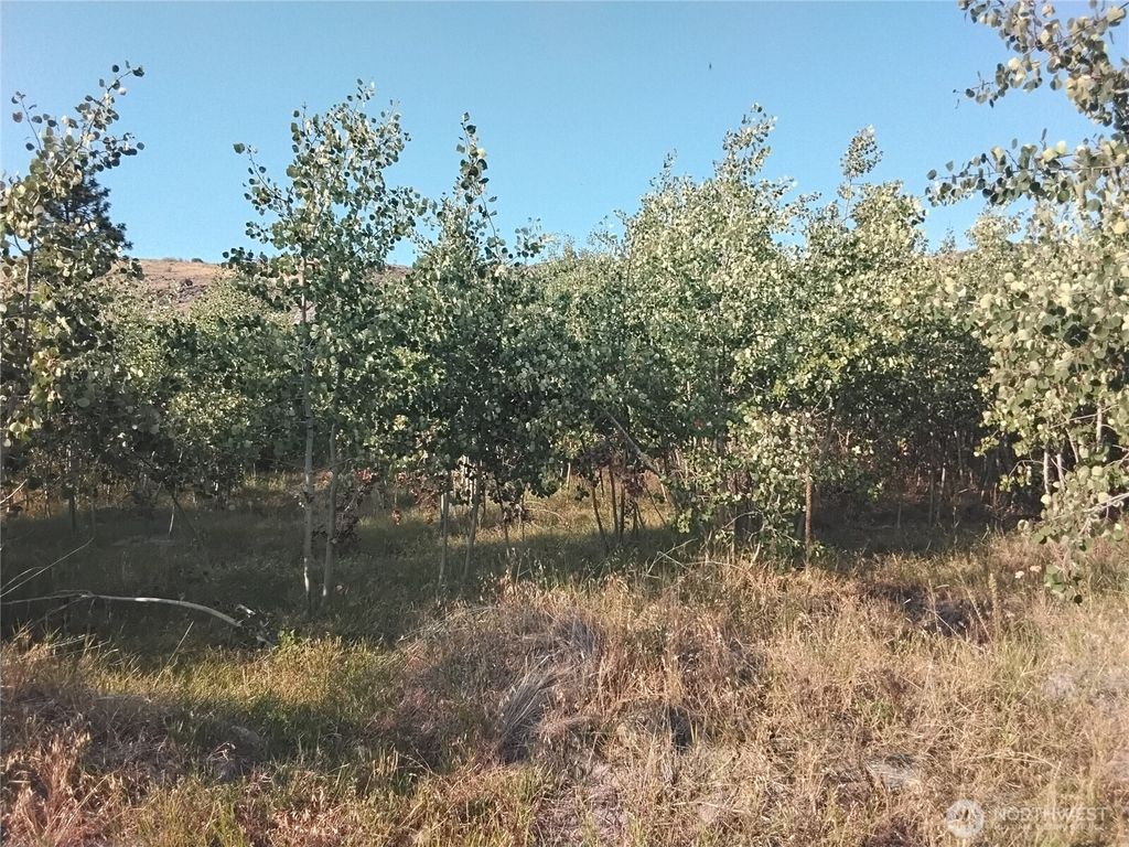 Photo of 4 Painted Rock Road, Tonasket, WA 98855 (MLS # 2457118)