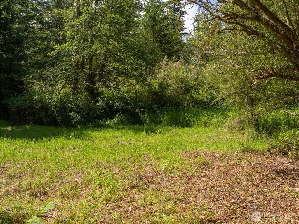 Photo of 1486 Center Road, Lopez Island, WA 98261 (MLS # 2535709)