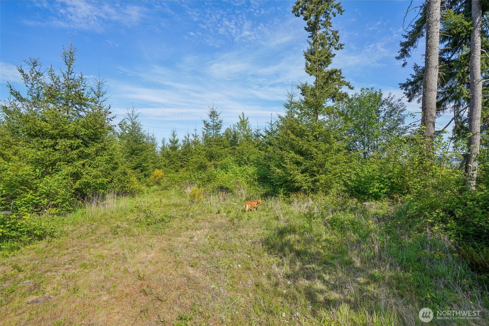 143 Bootjack Lane Lot 1