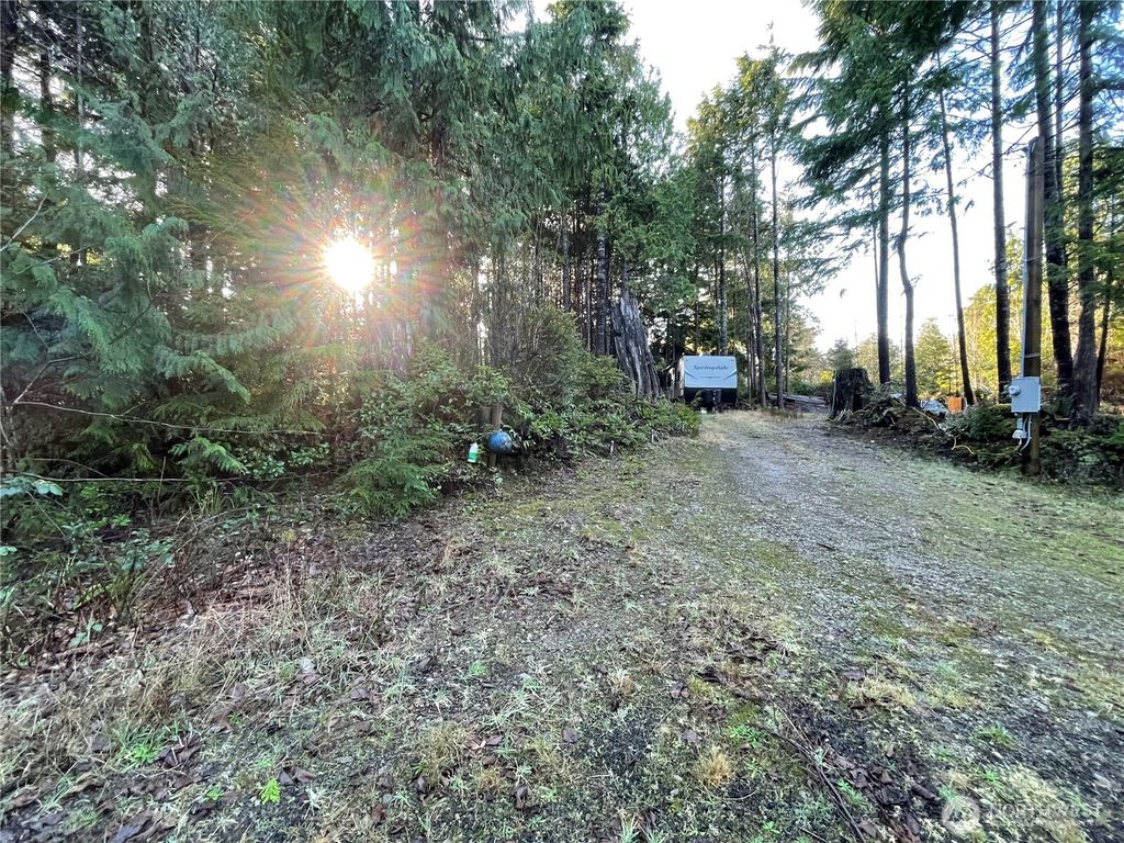 Photo of 56 Rainbow Lane, Pacific Beach, WA 98571 (MLS # 2467216)