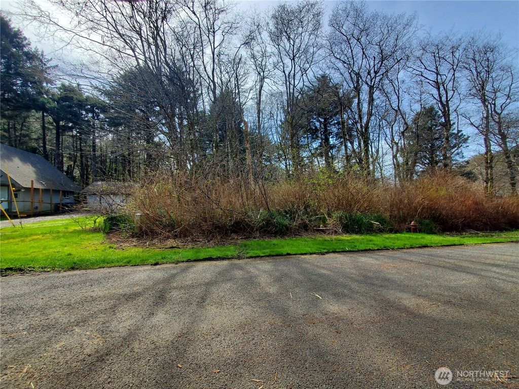 Photo of 18 Woodland Drive, Copalis Beach, WA 98535 (MLS # 2499280)