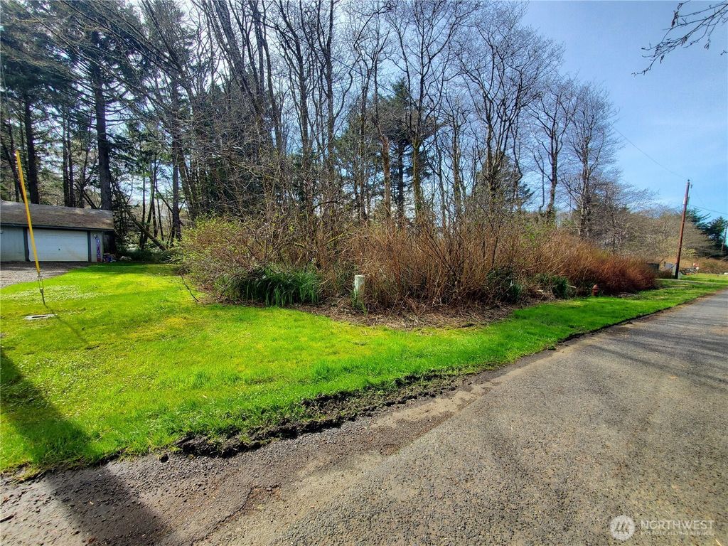 Photo of 18 Woodland Drive, Copalis Beach, WA 98535 (MLS # 2499280)