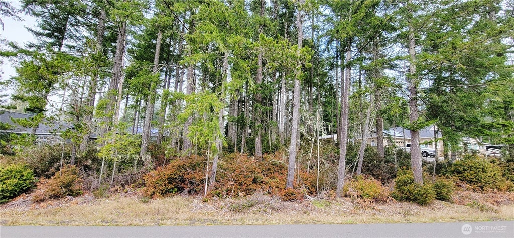 Photo of 350 E Vine Maple Lane, Union, WA 98592 (MLS # 2542956)