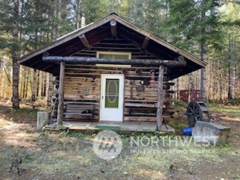 0 Skate Creek Road S Lot 3 Packwood WA 98937