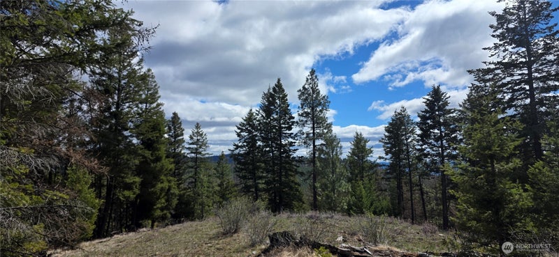 1112 TBD Bandtman Creek Rd