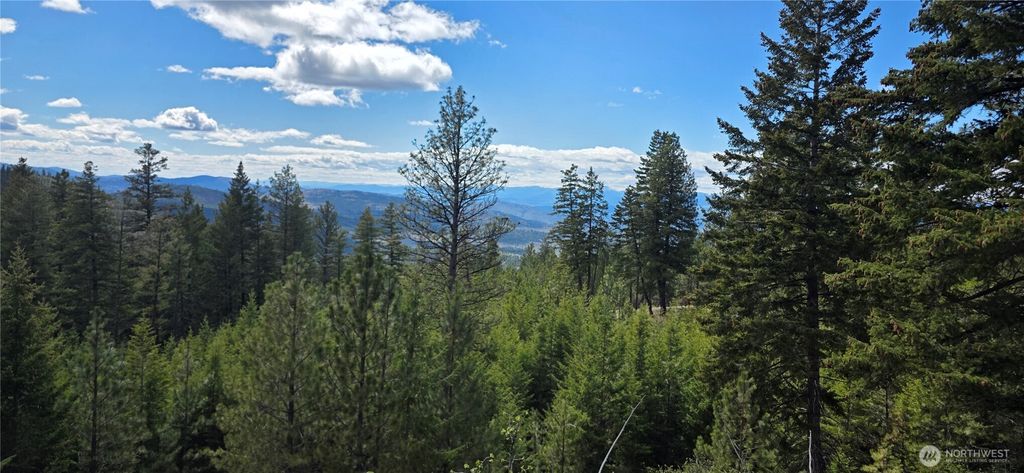 Photo of 1112 TBD Bandtman Creek Rd, Tonasket, WA 98855 (MLS # 2513861)