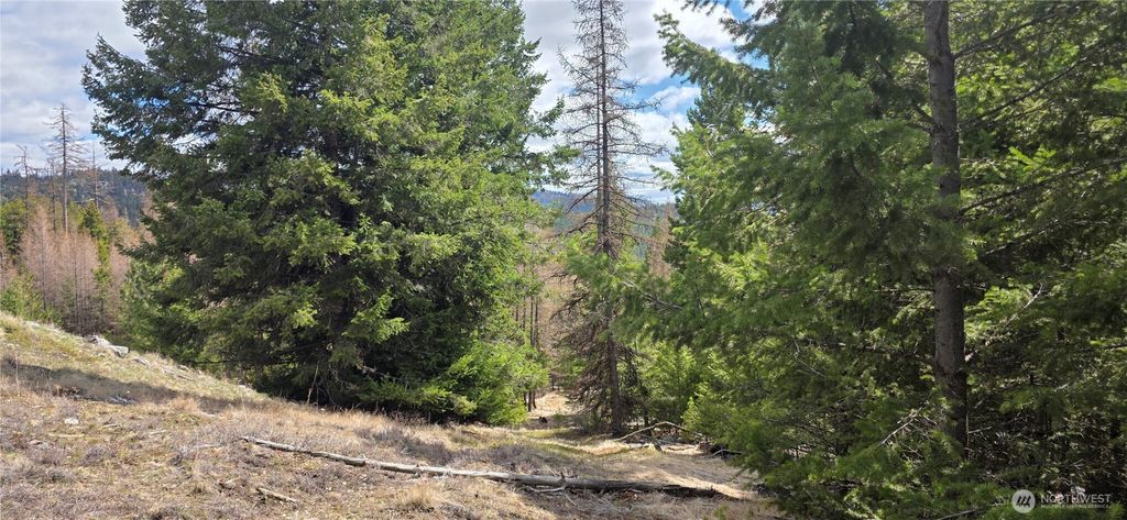 Photo of 1112 TBD Bandtman Creek Rd, Tonasket, WA 98855 (MLS # 2513861)