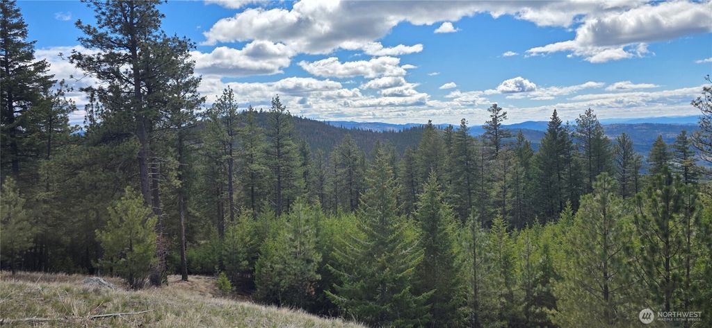 Photo of 1112 TBD Bandtman Creek Rd, Tonasket, WA 98855 (MLS # 2513861)