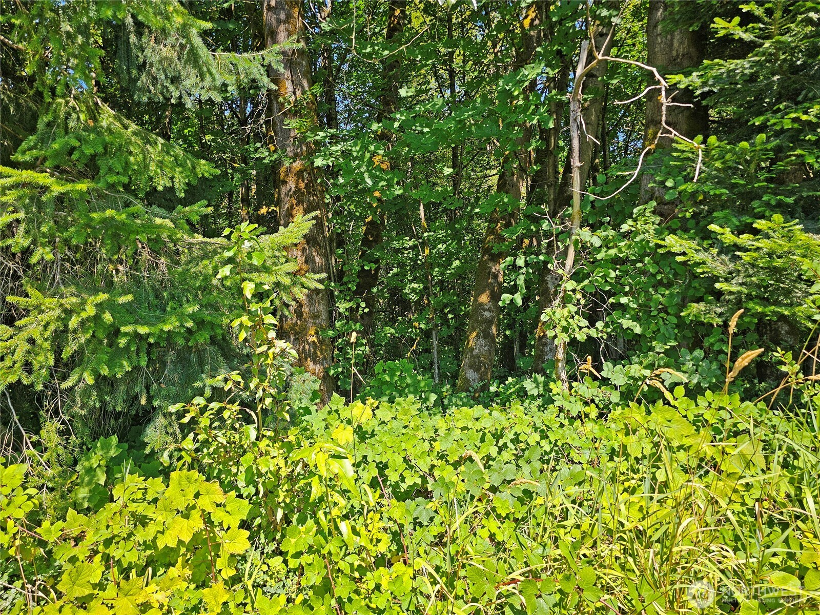 12630 183rd Avenue SW