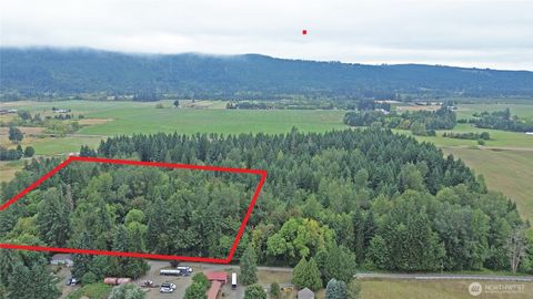 Photo of 12630 183rd Avenue SW, Rochester, WA 98579 (MLS # 2426344)