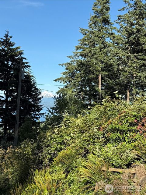 Photo of 2959 Dogwood Terrace, Lummi Island, WA 98262 (MLS # 2541102)