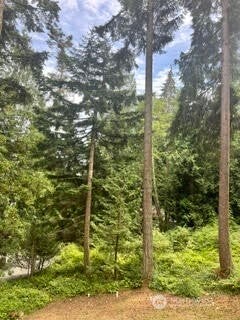 Photo of 1131 Harbortop Ter TER, Greenbank, WA 98253 (MLS # 2542620)