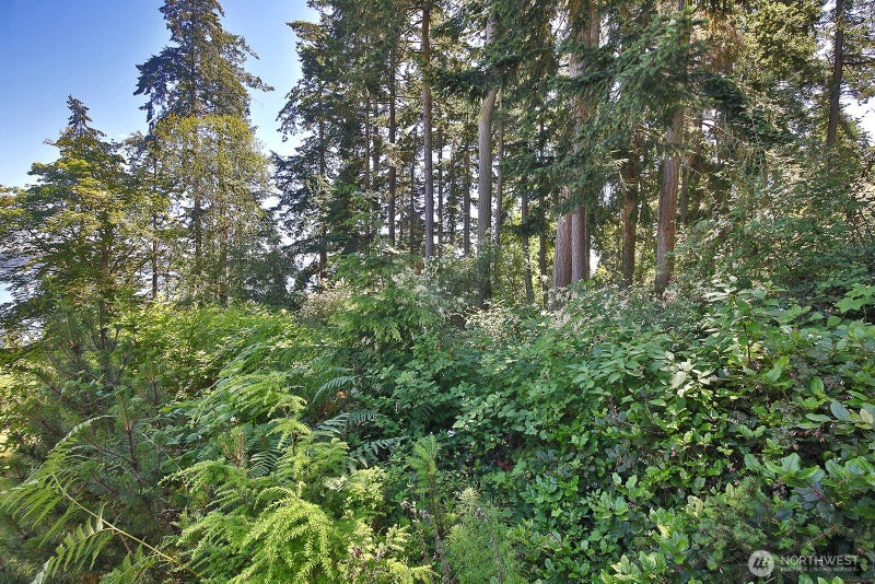0 Belvedere Place