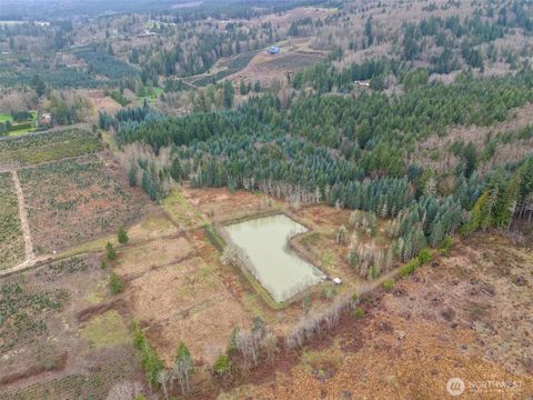 186 Van Hoesen Road 25 Onalaska WA 98570
