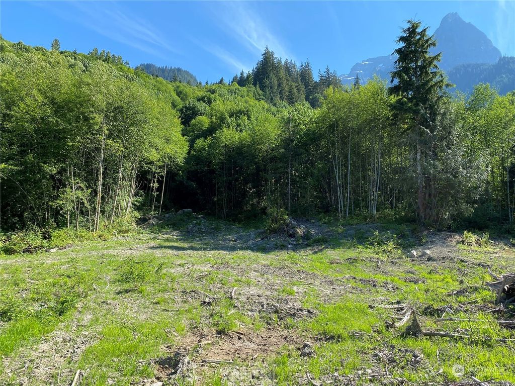 Photo of 49 xxx Mt. Index River Road, Gold Bar, WA 98251 (MLS # 1337281)