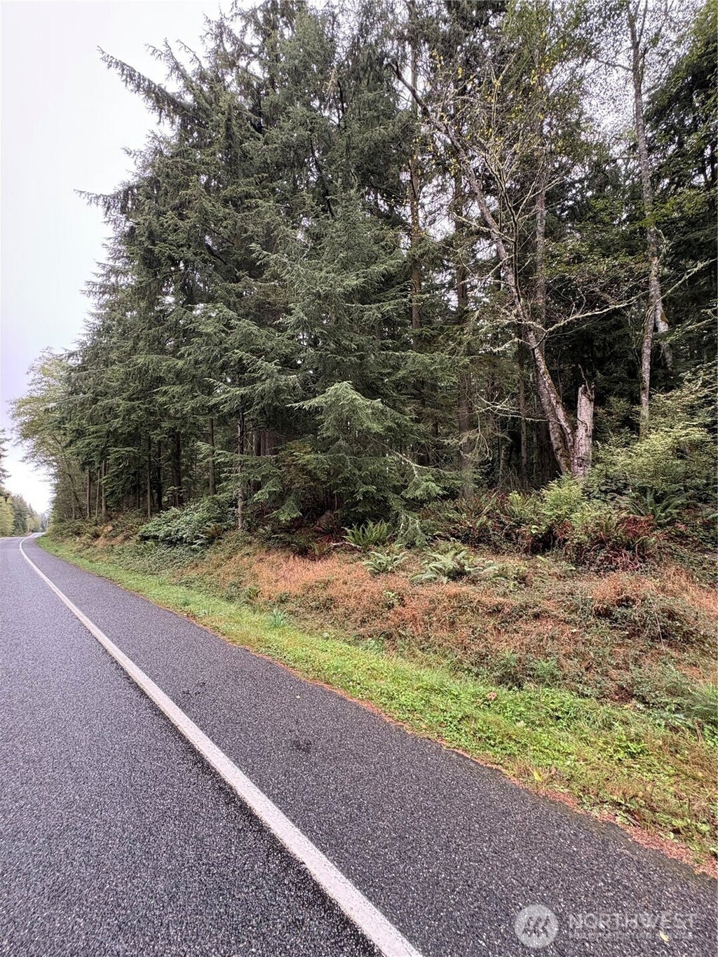 Photo of 123 Smugglers Cove Rd, Oak Harbor, WA 98253 (MLS # 2586087)