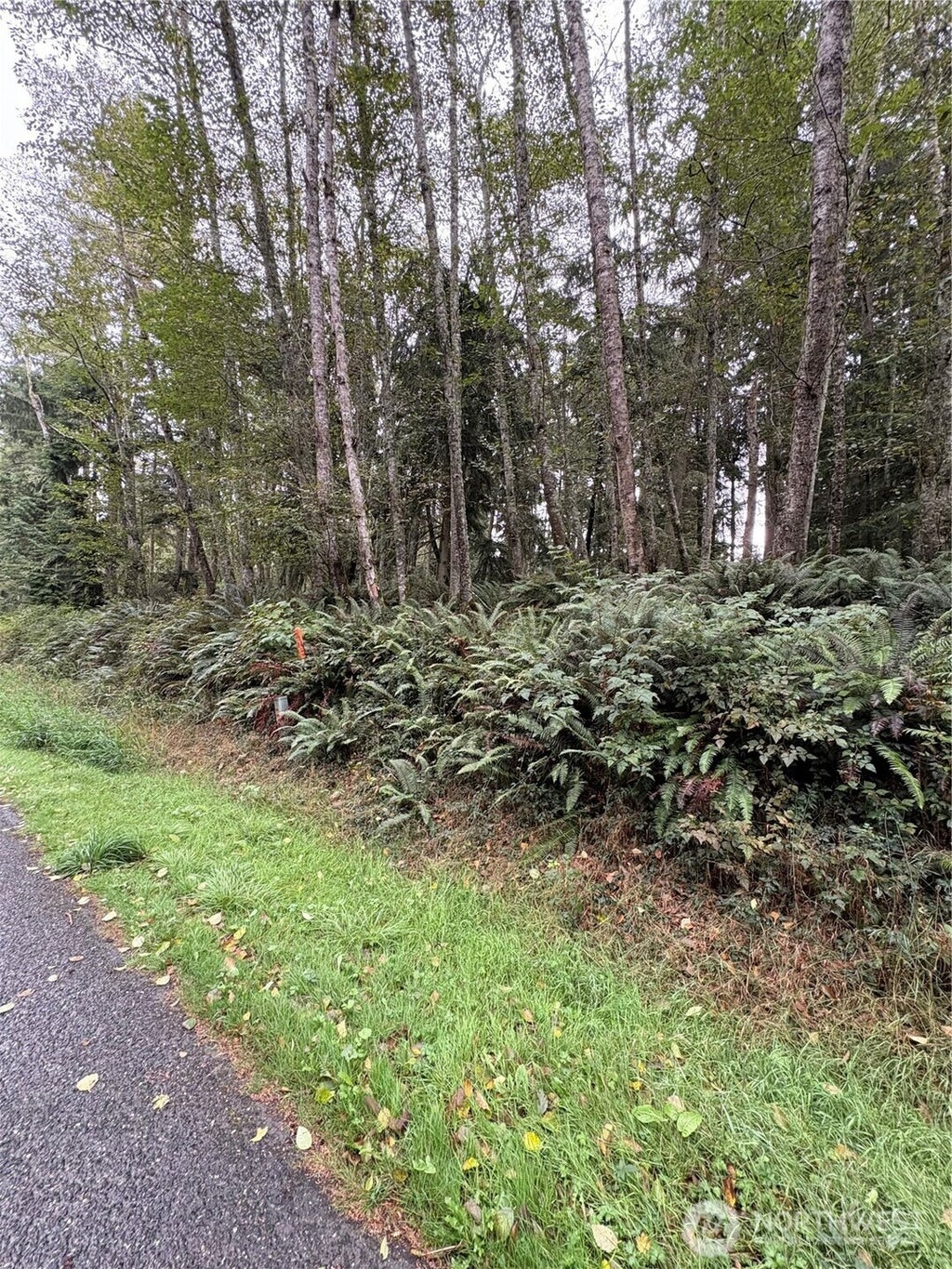 Photo of 123 Smugglers Cove Rd, Oak Harbor, WA 98253 (MLS # 2586087)